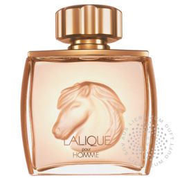 Lalique - Pour Homme - Equus